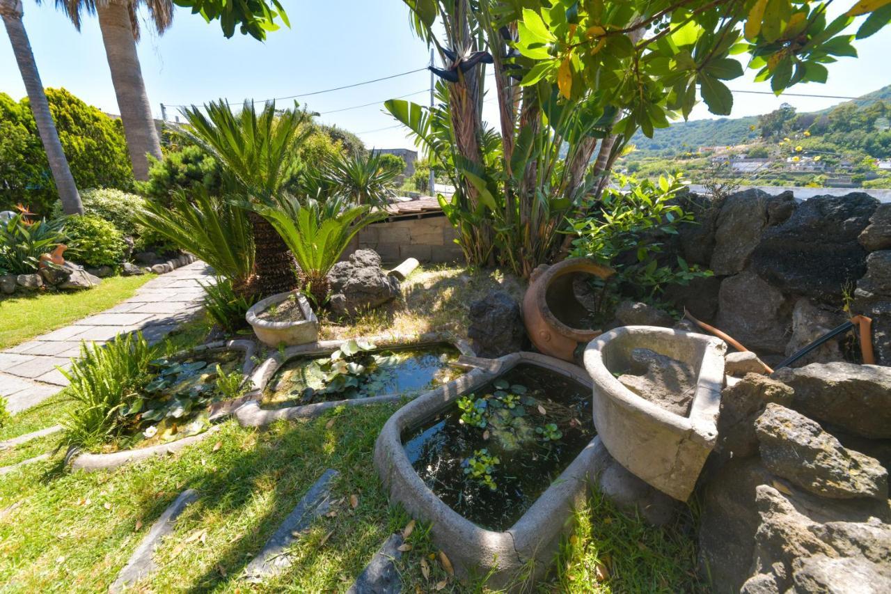 Villa Stefania Barano dʼIschia المظهر الخارجي الصورة